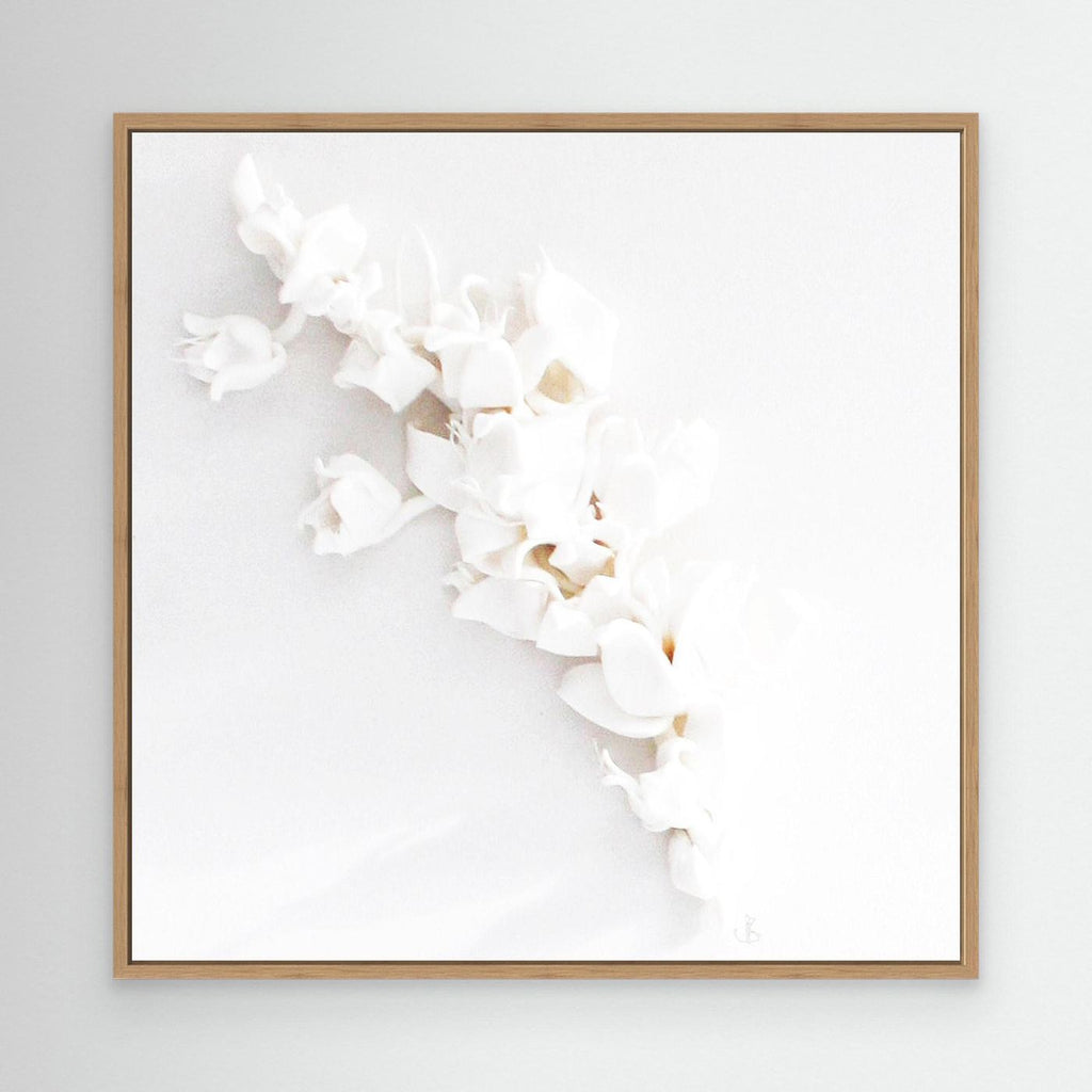 White Reverie