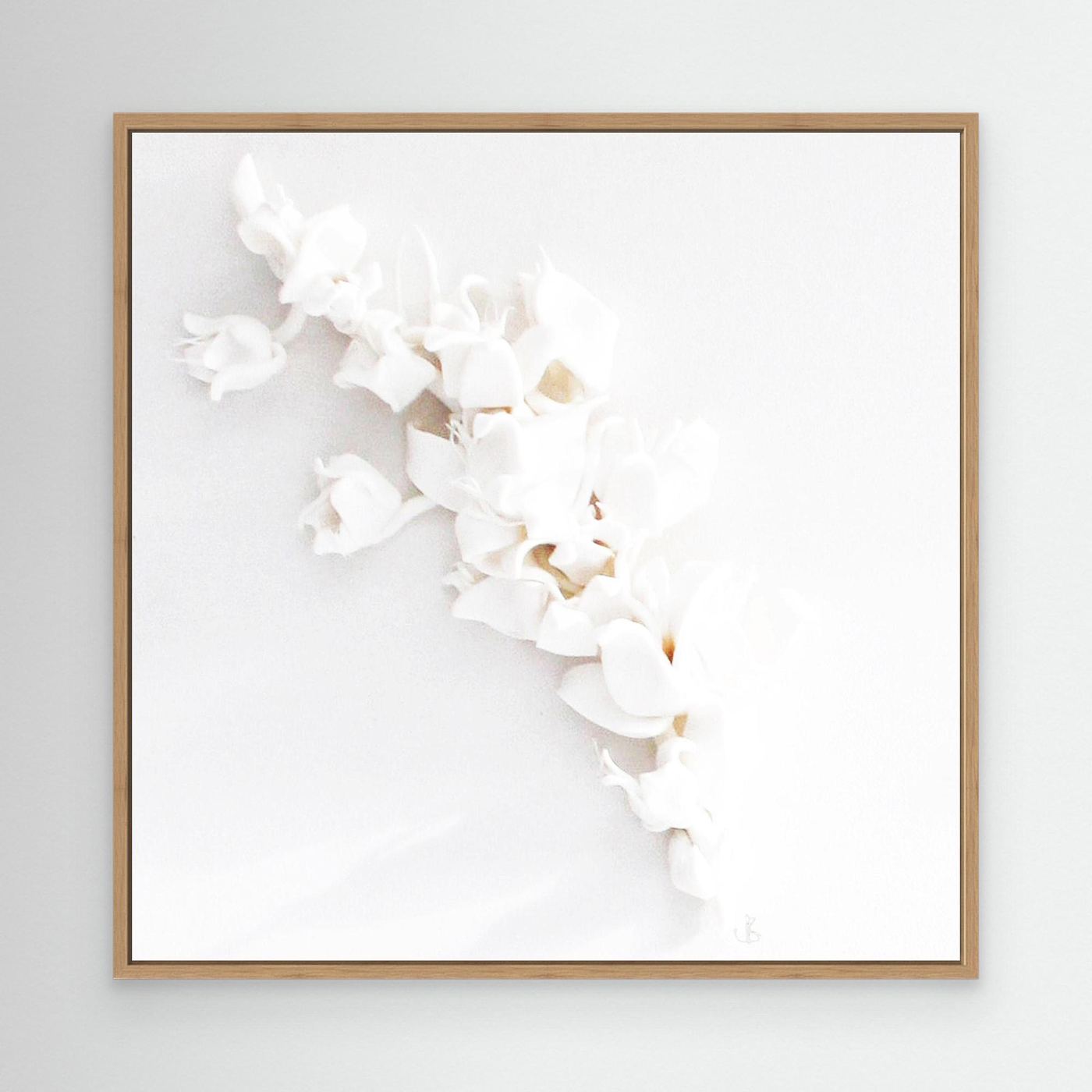 White Reverie