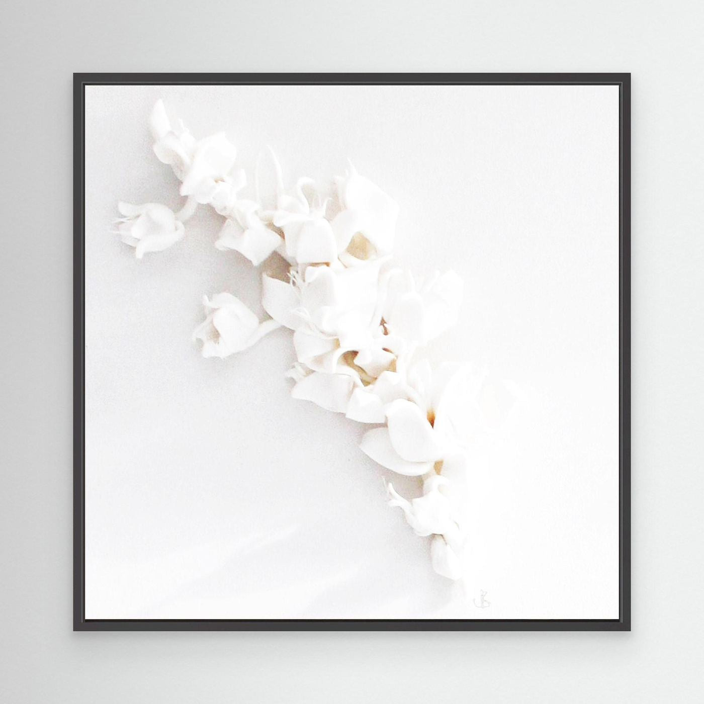 White Reverie