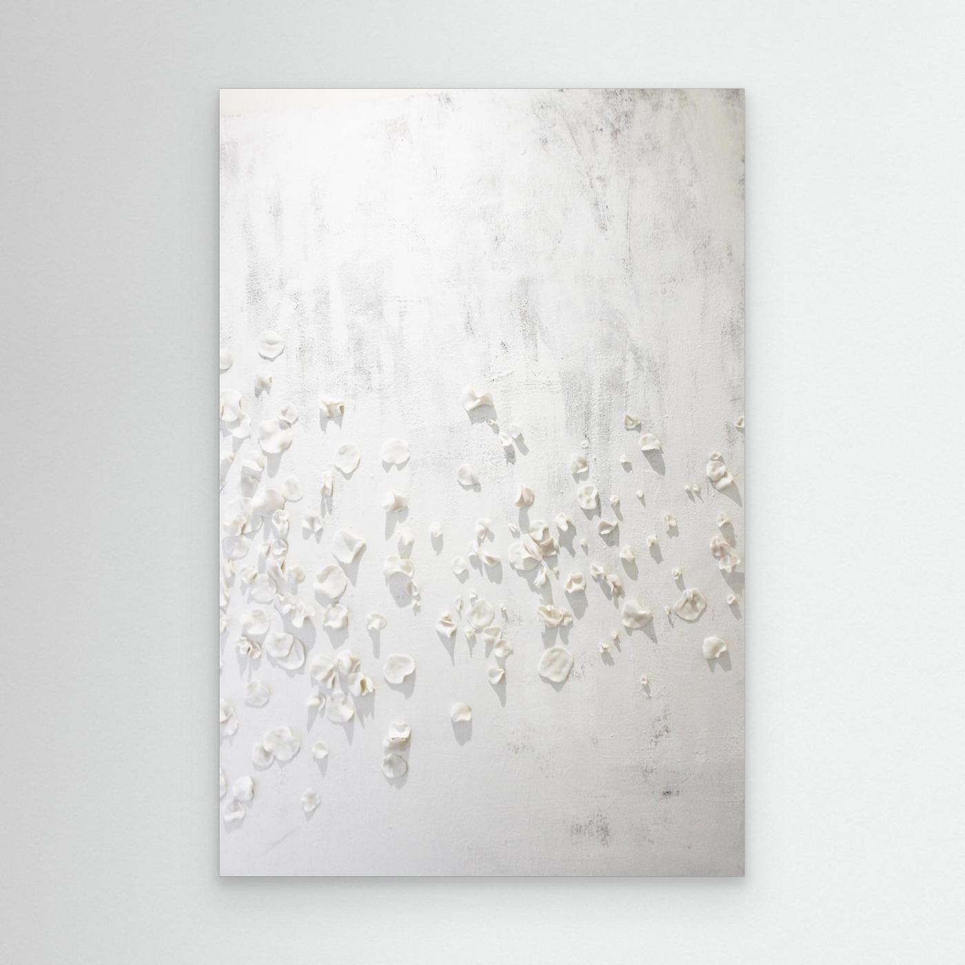 Petals