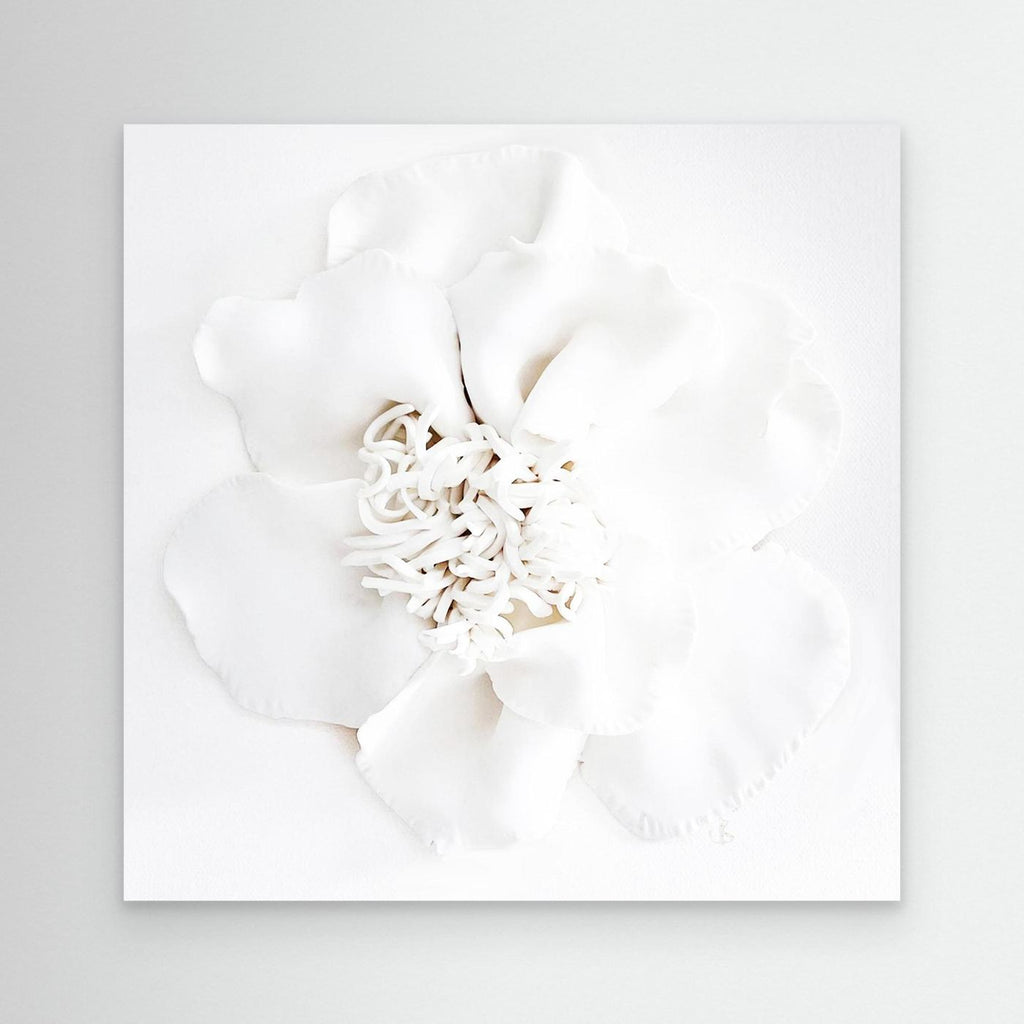 Cloud Bloom