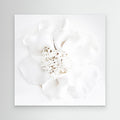 Cloud Bloom