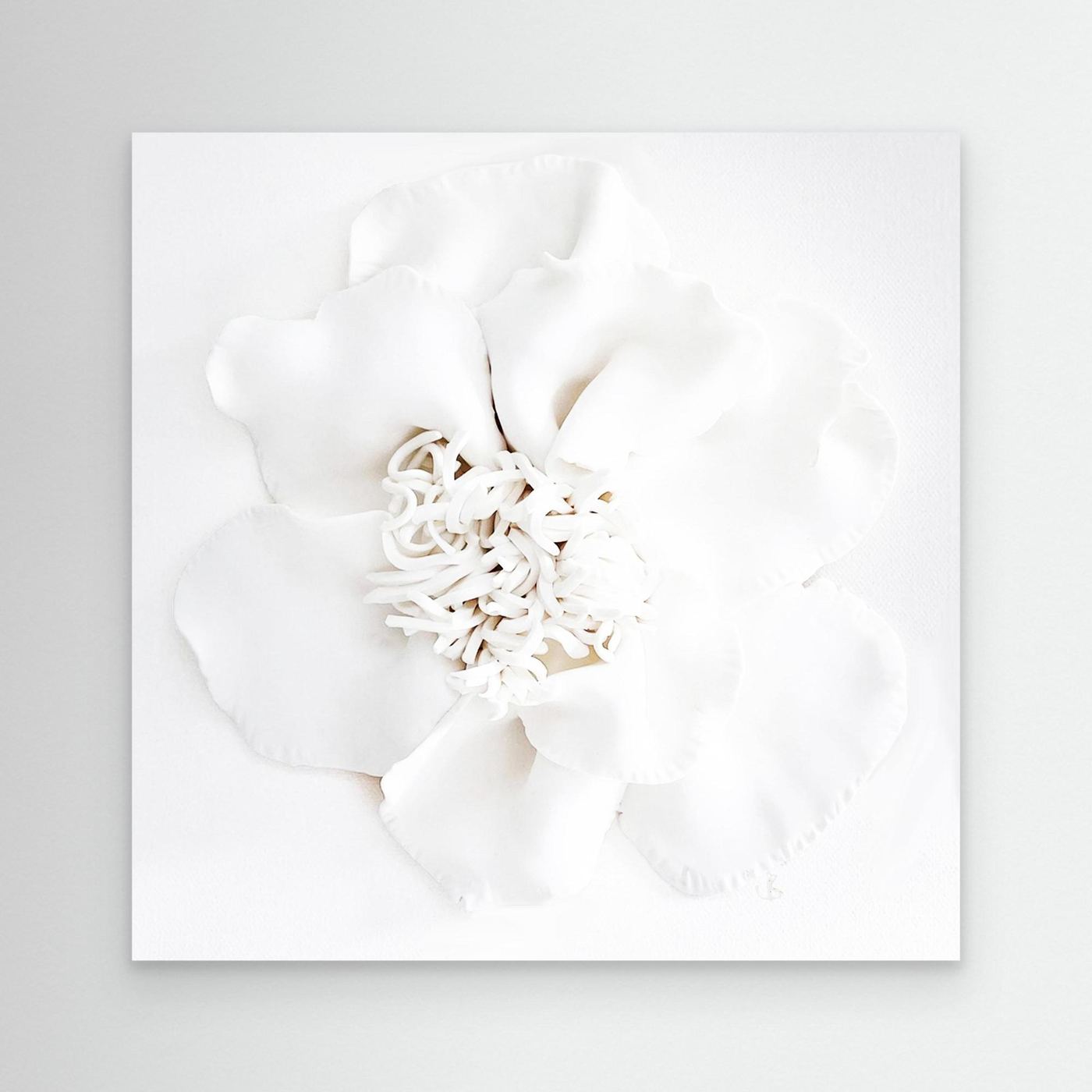 Cloud Bloom