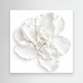 Ivory Bloom