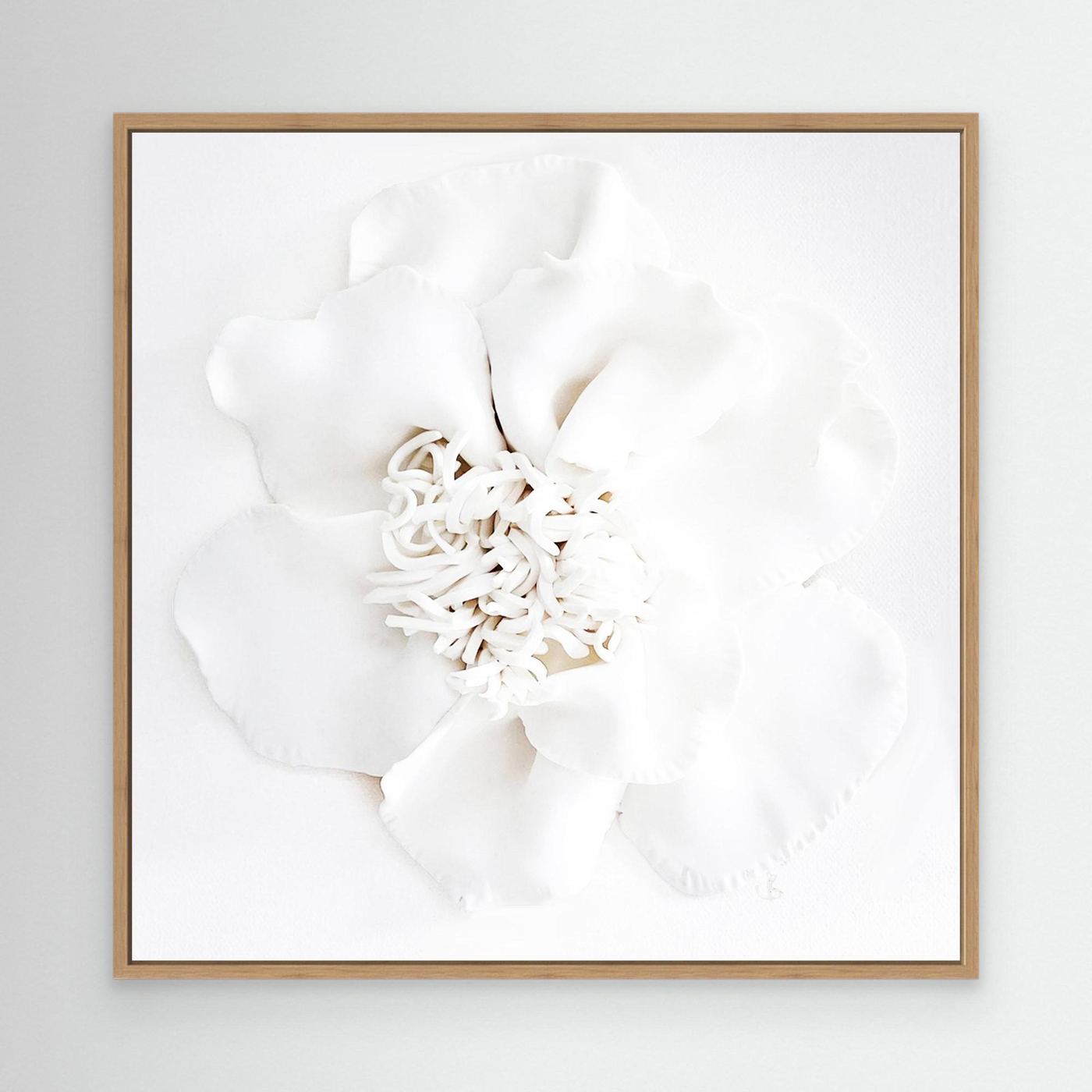 Cloud Bloom