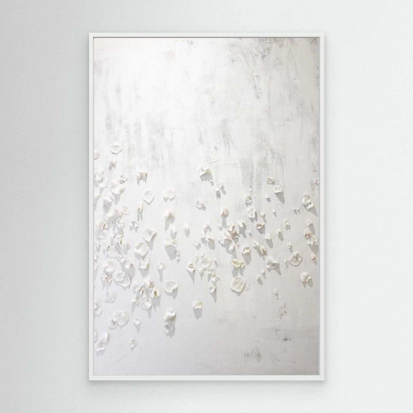 Petals