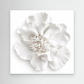 Cloud Bloom