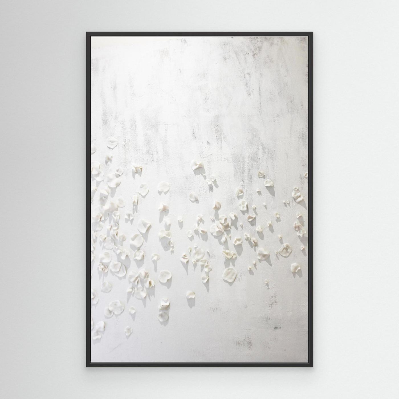 Petals