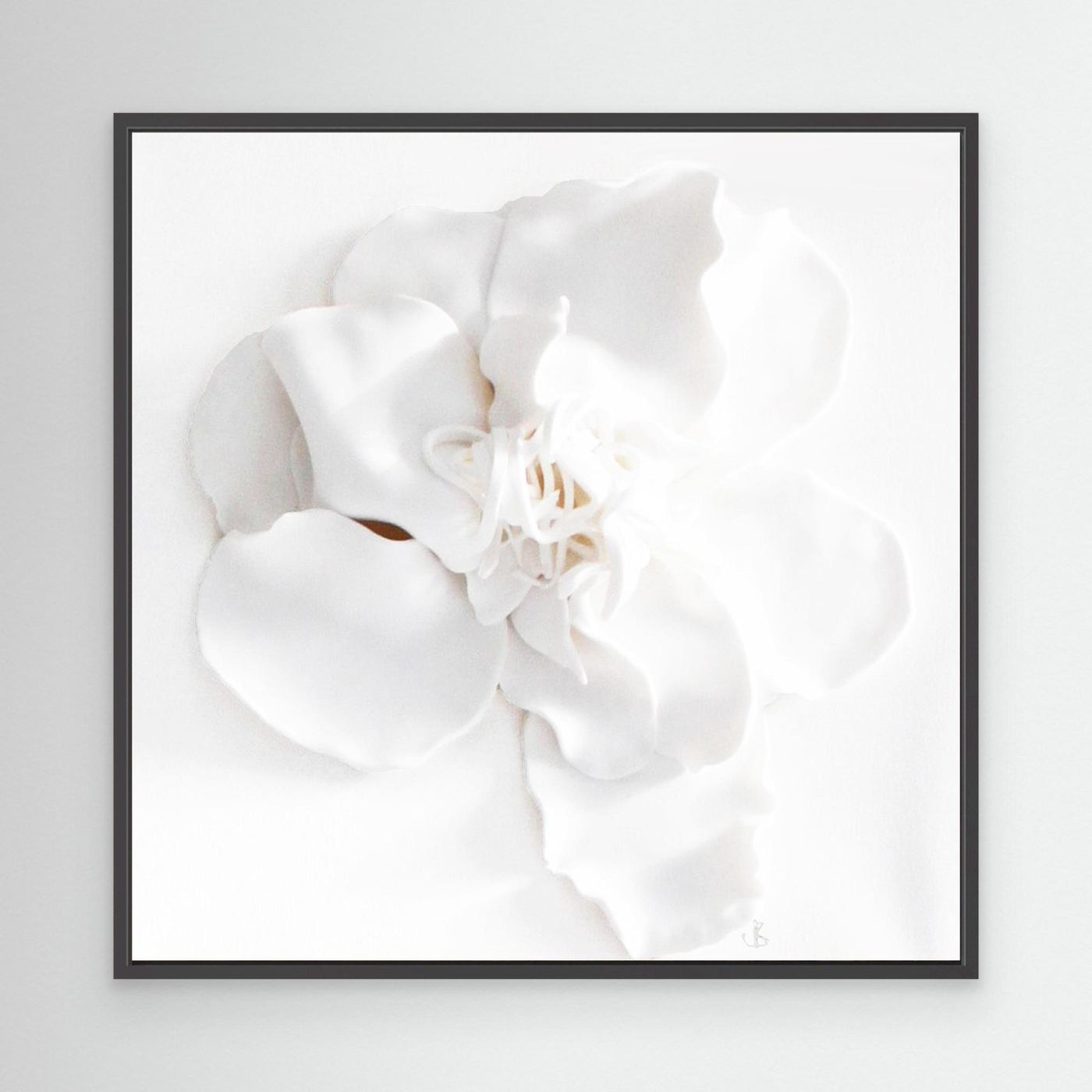 Ivory Bloom