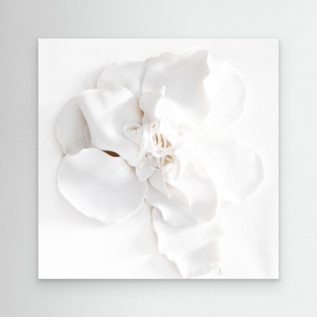 Ivory Bloom