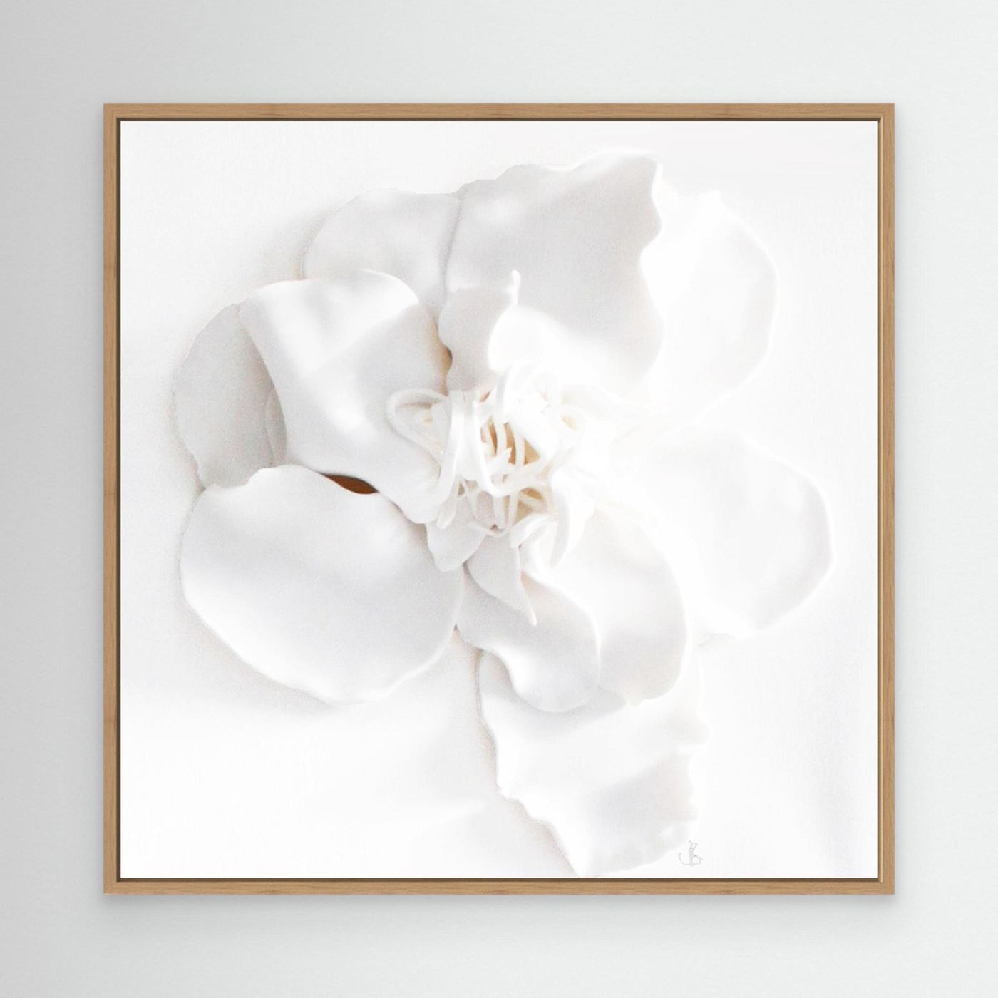 Ivory Bloom