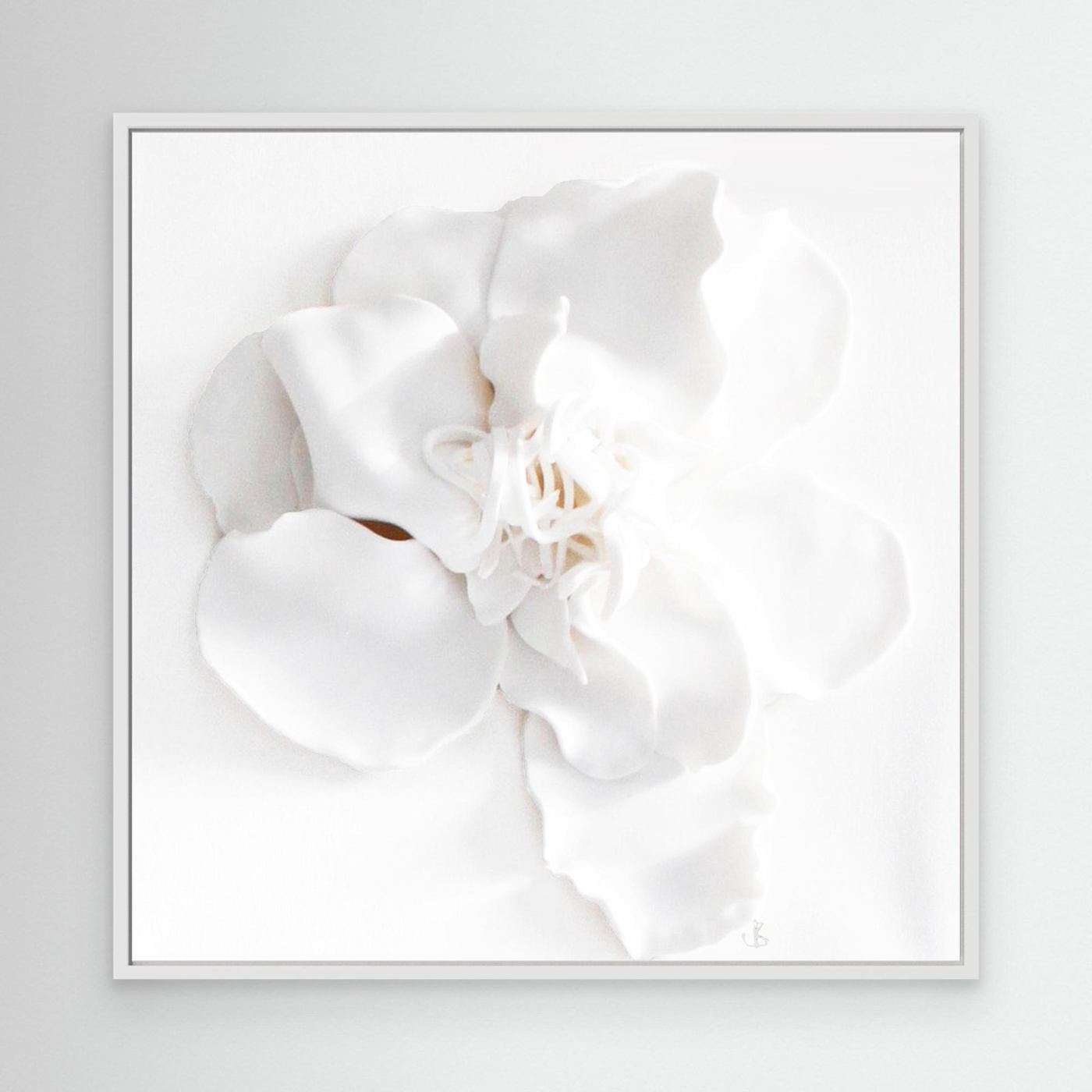 Ivory Bloom