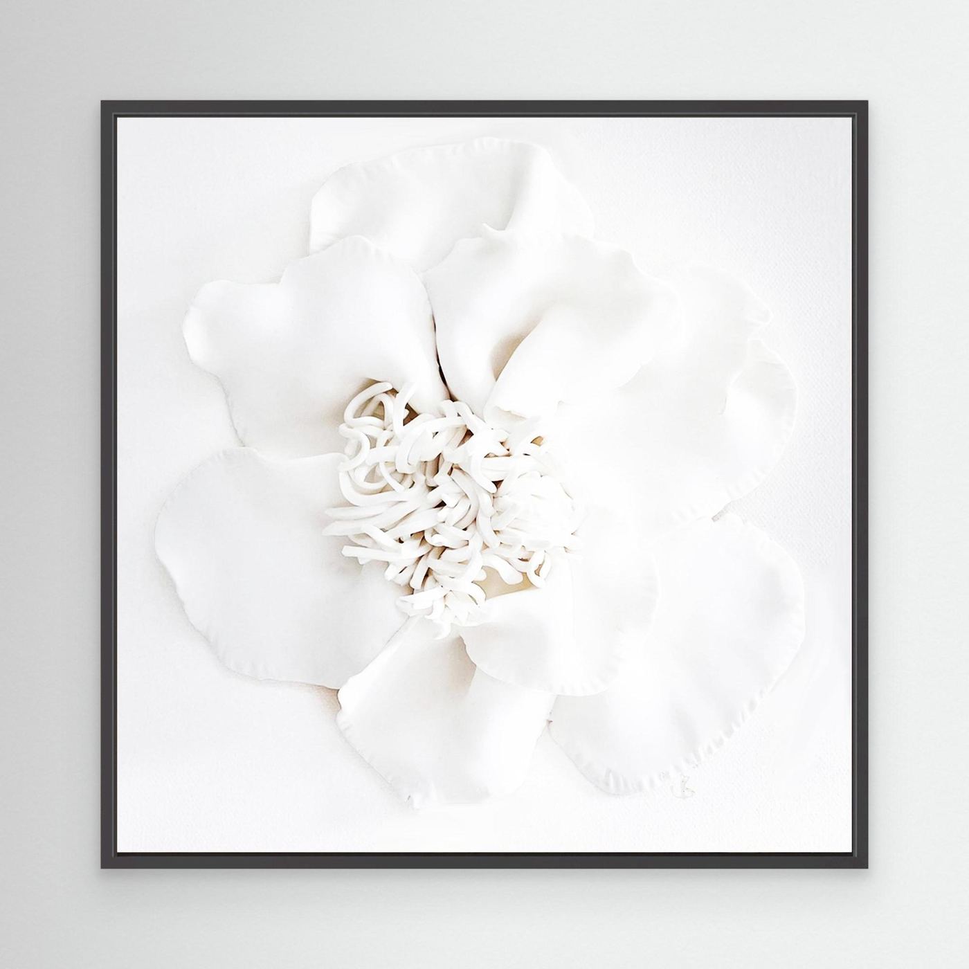 Cloud Bloom