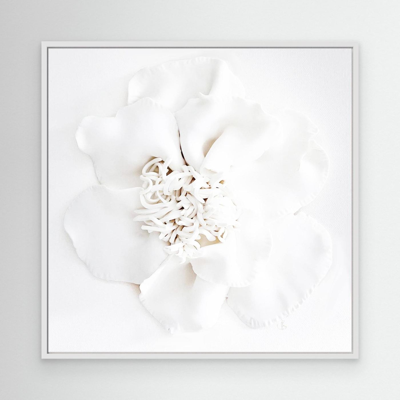 Cloud Bloom